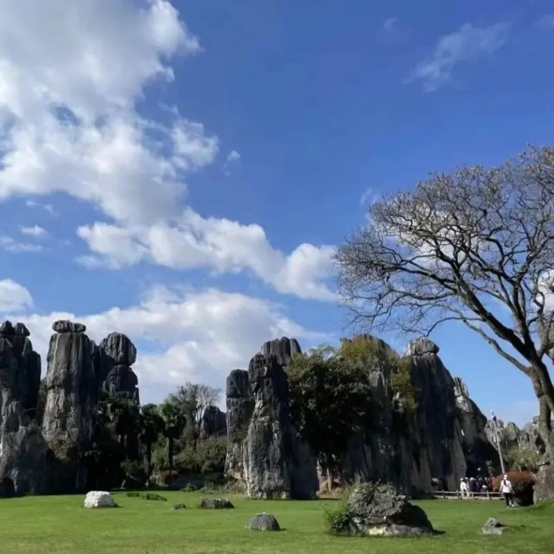 Kunming Stone Forest Scenic Area 昆明石林風景區壯麗石灰岩地貌景觀,高聳奇特的石柱群矗立在綠色草地之上,藍天白雲與自然林木相互映襯,展現昆明石林風景區獨特的喀斯特地質奇觀與自然旅遊景色。