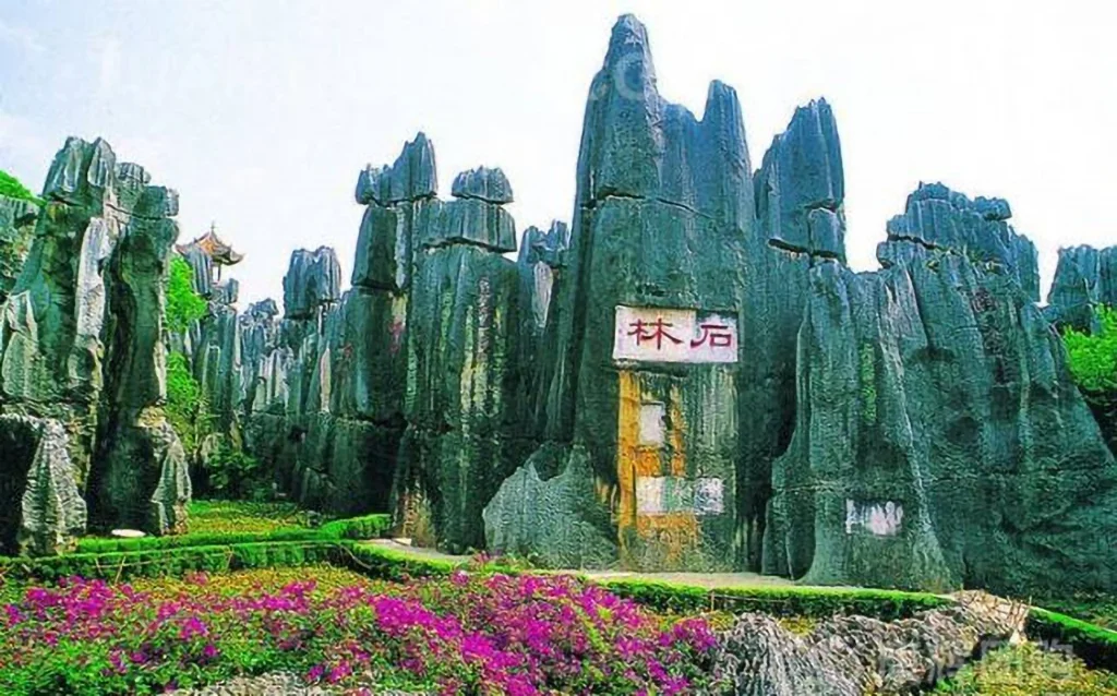 stone forest 2