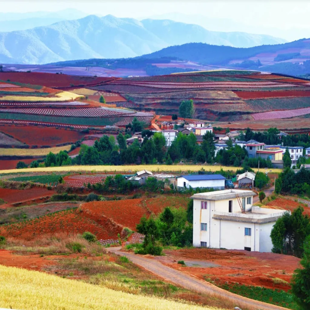 Seven Colored Slope 雲南昆明著名景觀 東川紅土地 七色坡的彩色梯田景色。起伏山坡上分布著紅色土壤與不同農作物田地,形成紅、黃、綠與棕色交錯的自然圖案。層層梯田延伸至遠方山谷,展現東川紅土地獨特壯觀的農耕地貌與多彩高原風景。