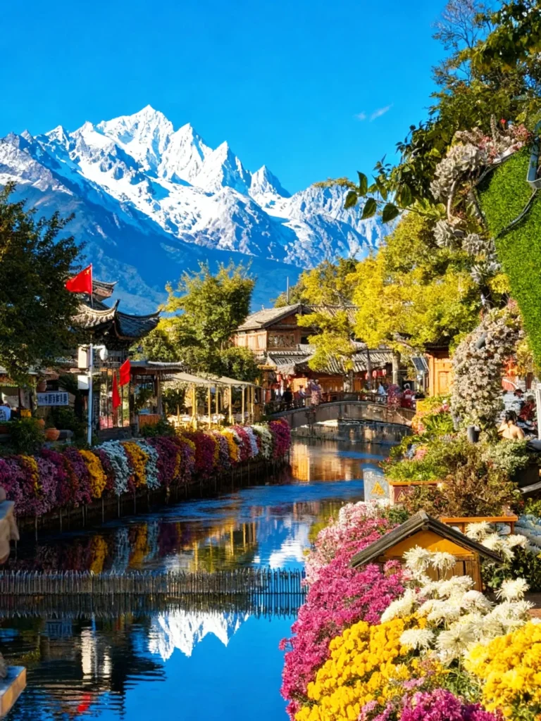 Lijiang Autumn Scenery 5 麗江古城秋季花海與玉龍雪山景觀。