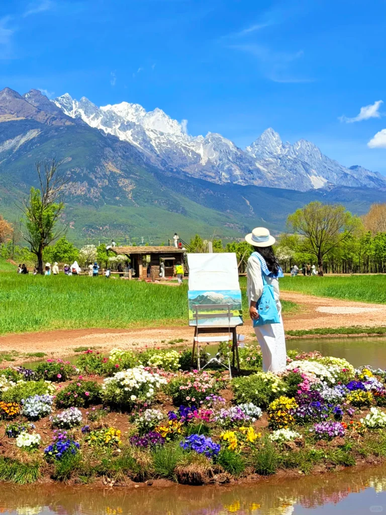 Spring Scenery in Lijiang 2 麗江春季景色,玉龍雪山下綠色田野與花海,遊客寫生拍照的自然風光。