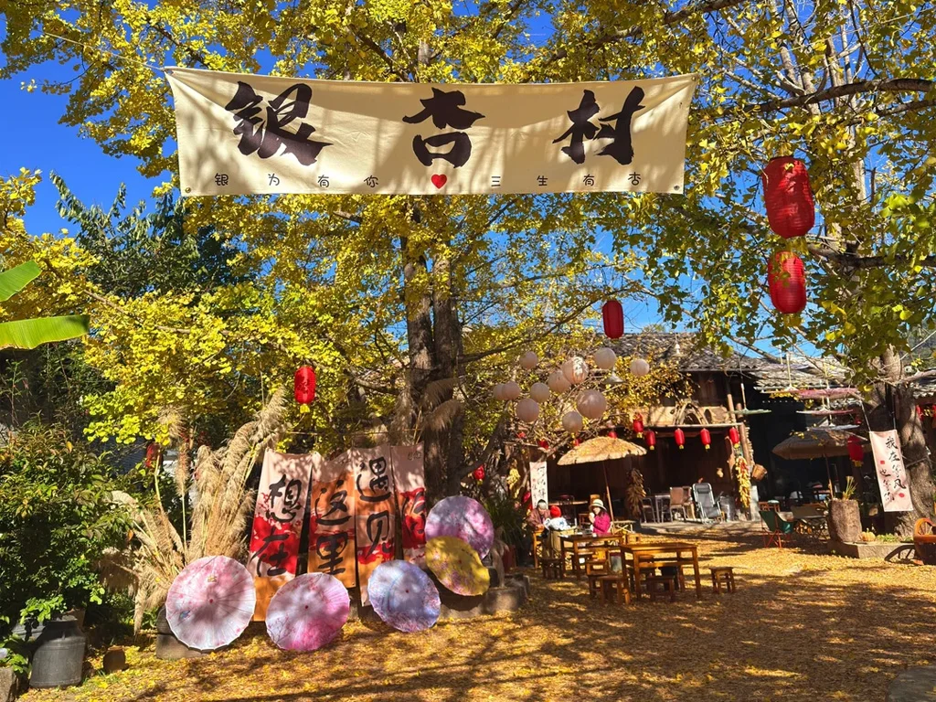 騰衝銀杏村入口橫幅掛在金黃銀杏樹下,搭配紅燈籠與戶外座位,地面鋪滿秋葉,呈現溫馨秋日氛圍。