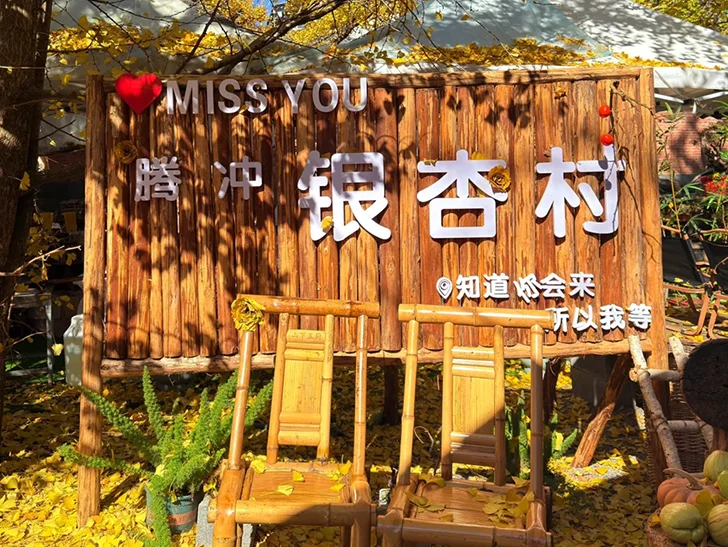 寫有騰衝銀杏村的木製招牌被金黃銀杏葉環繞,搭配木椅與秋日陽光,呈現溫暖樸實的景象。