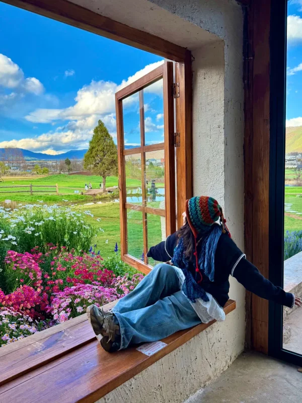 Spring Scenery in Lijiang 4 麗江春季景色,從窗邊眺望花園與田園,呈現悠閒旅遊氛圍。