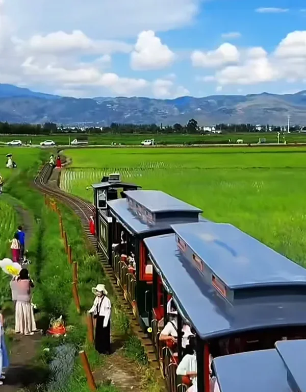 Xizhou Ancient Town Dali rld80q854ujg7c2s7n65fgr04k6p57j7ztf7962c5c 大理喜洲古鎮田園小火車穿行於稻田間,遠山與鄉村景色交織。