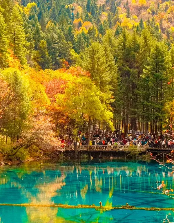 shangri la blue lake autumn forest reflection scenery 香格里拉藍色湖泊與秋季彩林倒影風景