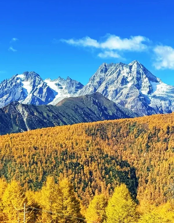 shangri la snow mountain autumn forest view yunnan 香格里拉秋季雪山與森林遠景景觀